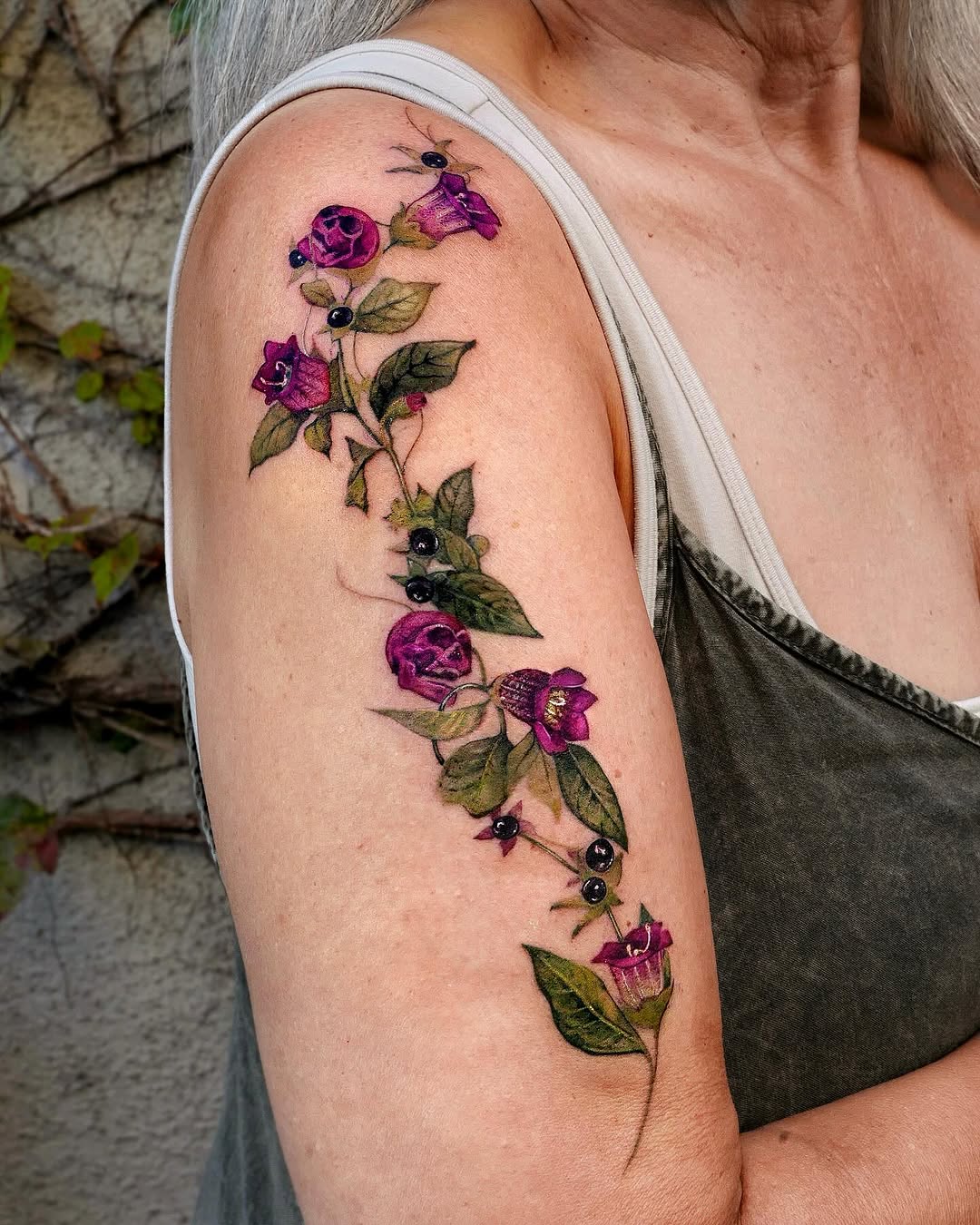 Flower, Rose, Nature