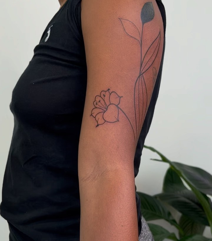 Flower, Rose