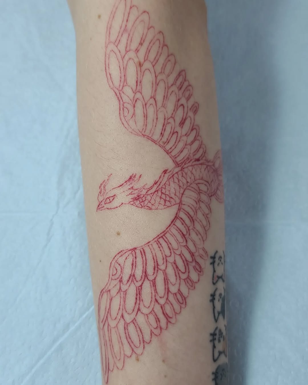 nobodytattoo
