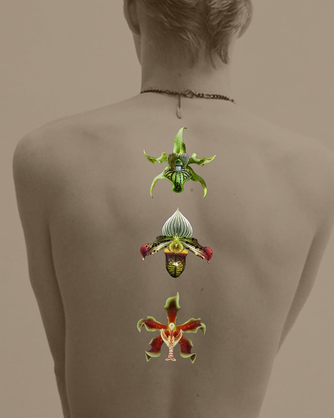 Flower, 히비스커스