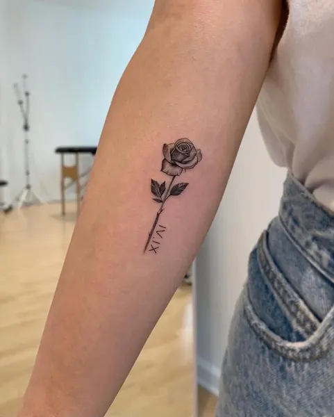 Flower, Rose