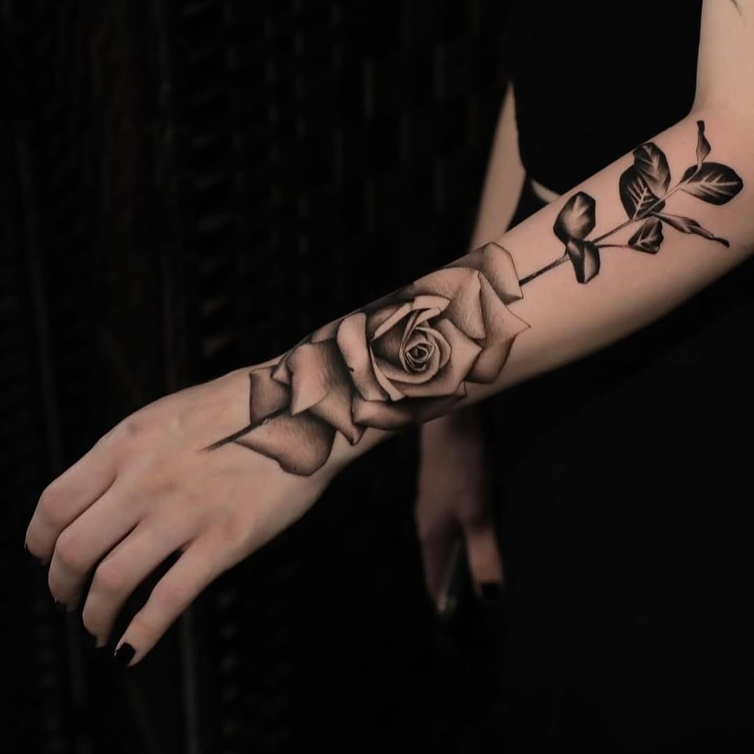 Flower, Rose