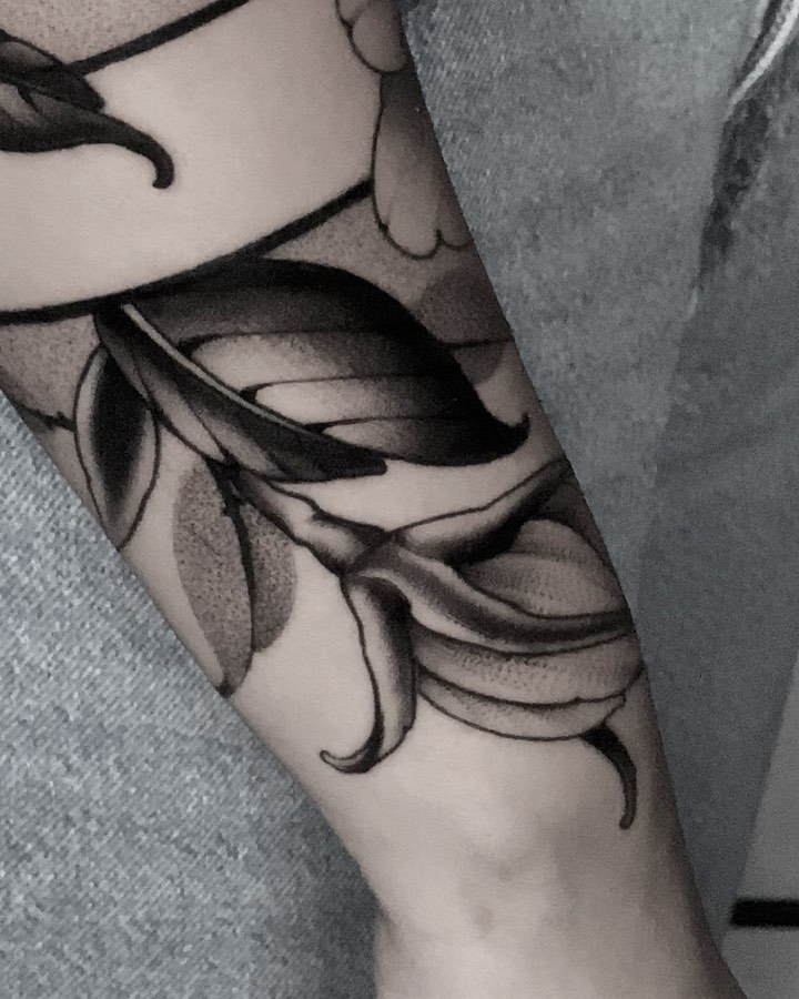 Flower, Rose