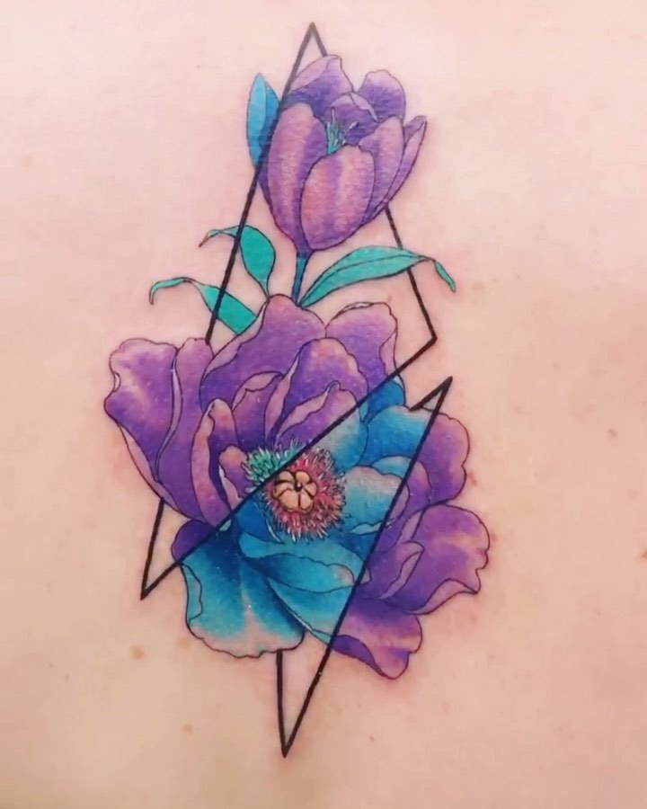 Rose, Nature, Flower
