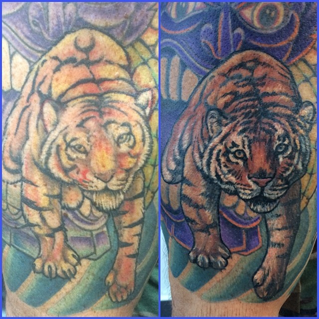 Tiger