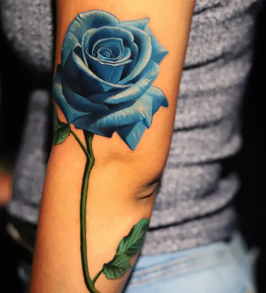 Flower, Rose
