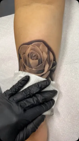 Flower, Rose