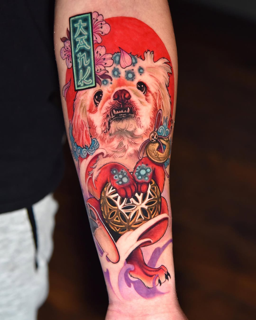Animal