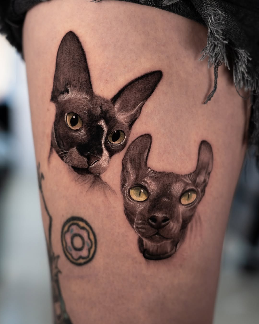 Animal