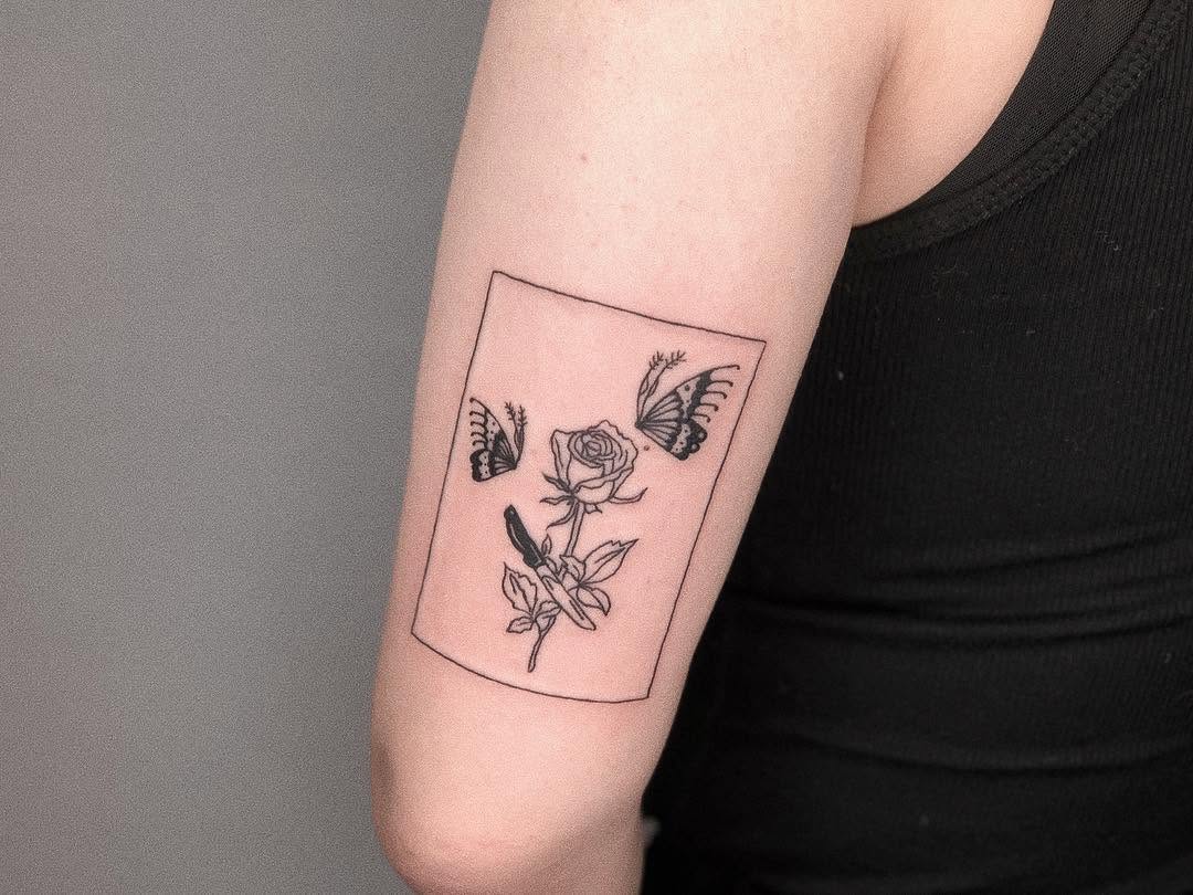 Flower, Rose