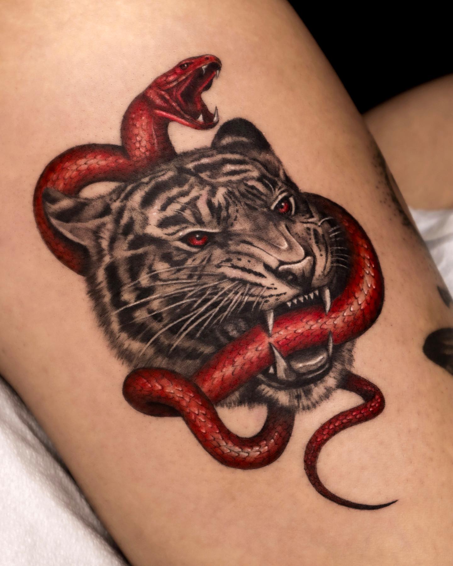 Tiger