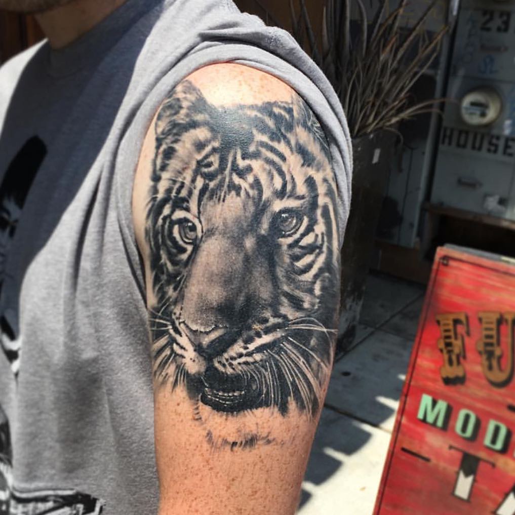 Tiger