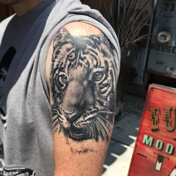 Tiger