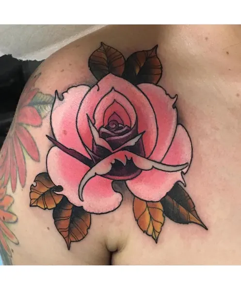 Flower, Rose, Nature