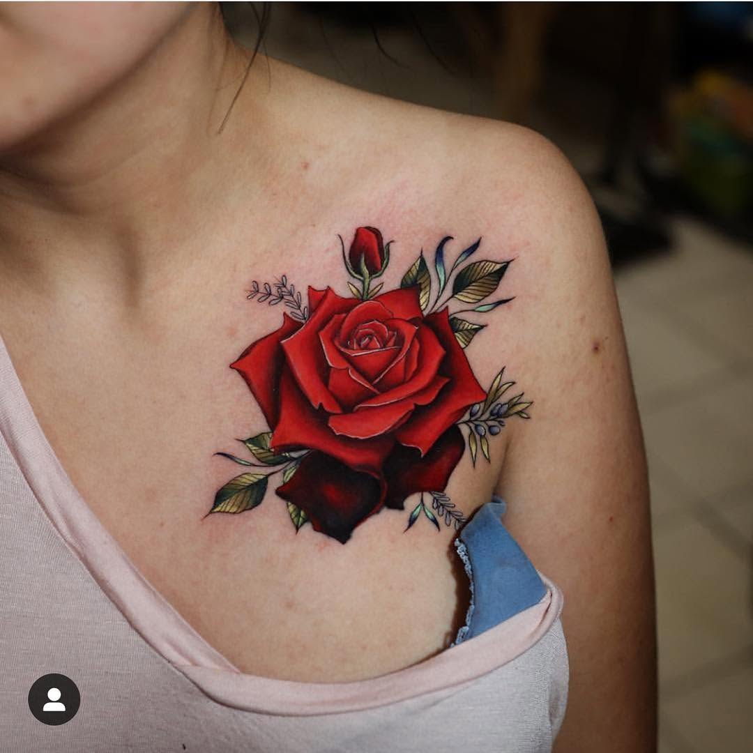 Flower, Rose, Nature
