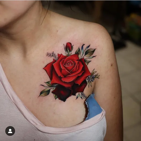 Flower, Rose, Nature