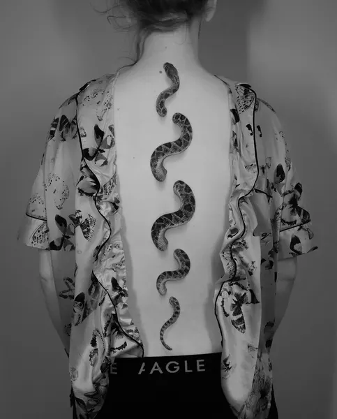 Dragon, Snake