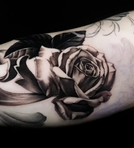 Flower, Rose