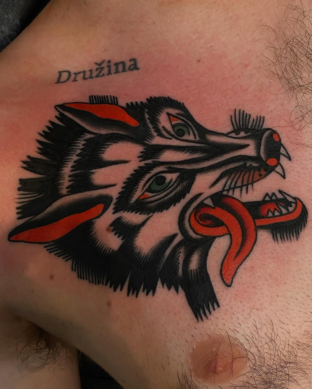 Tiger, Animal