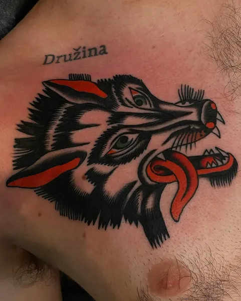 Tiger, Animal