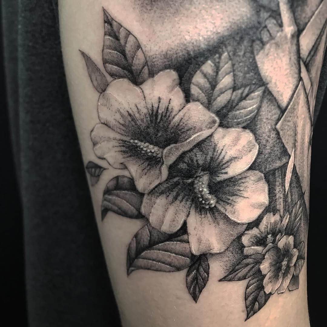 Flower, Rose
