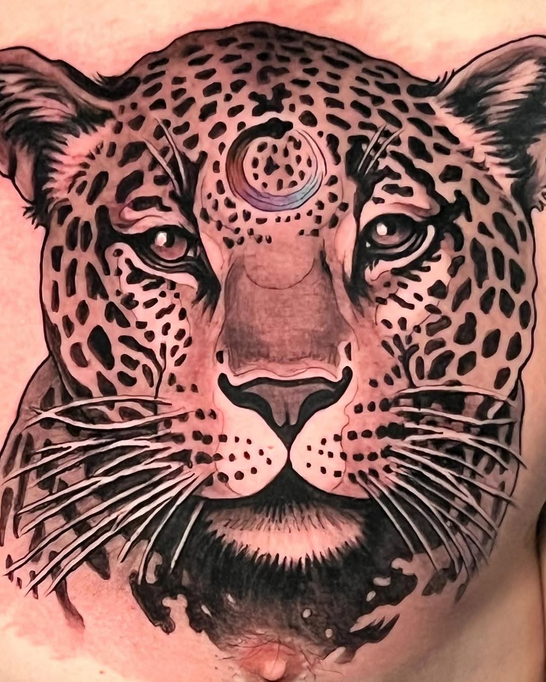 Animal
