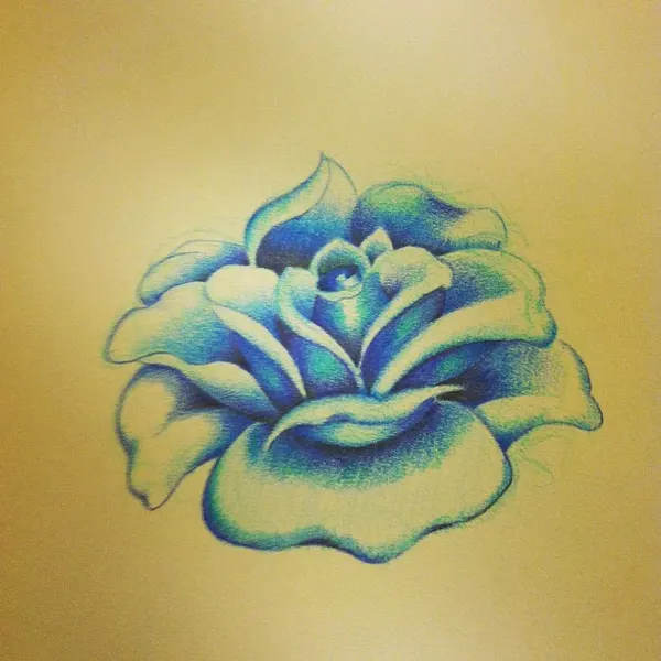 Flower, Rose