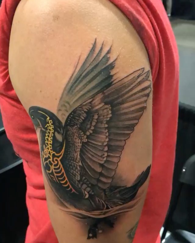Animal