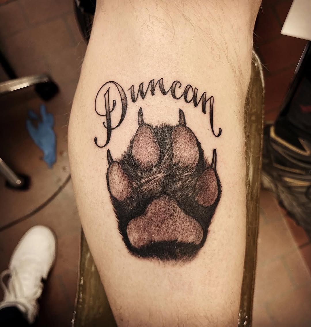 Animal
