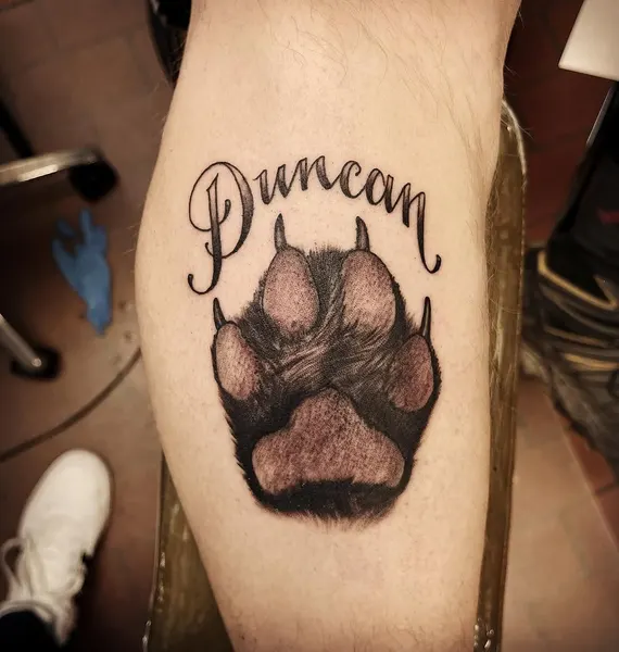 Animal