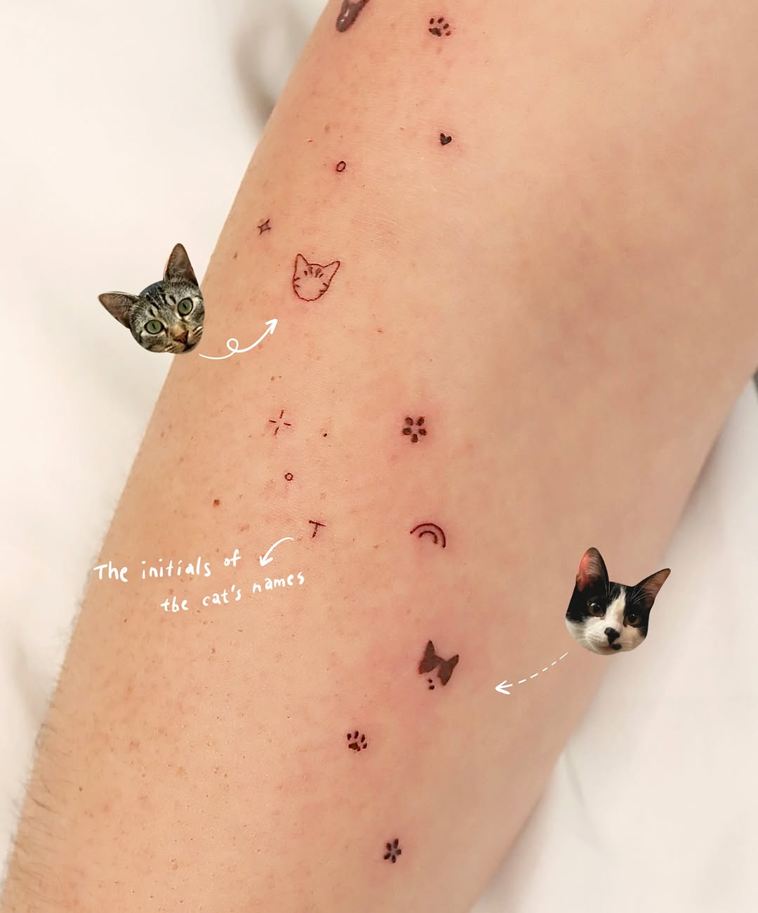 ovenlee.tattoo