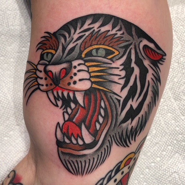 Tiger, Animal
