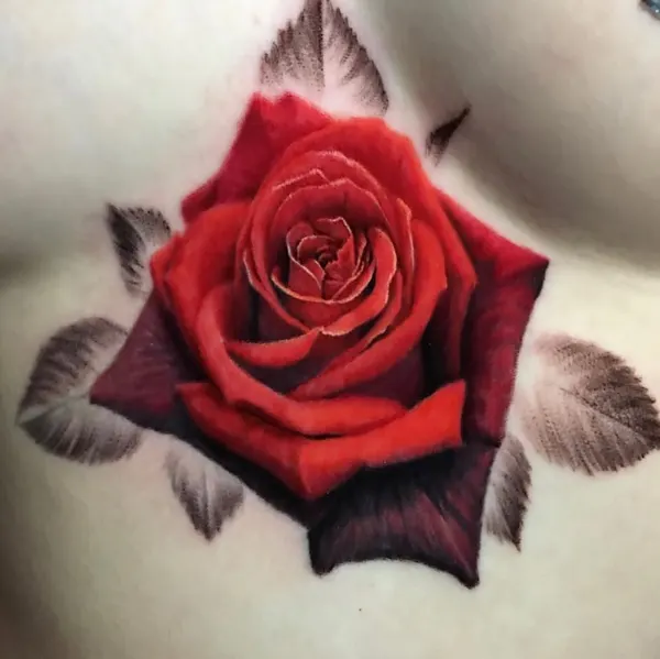 Flower, Rose, Nature