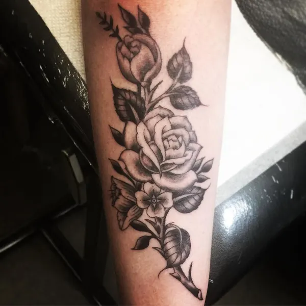 Flower, Rose