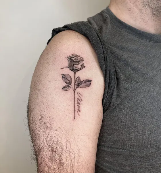 Flower, Rose