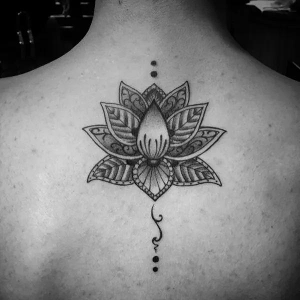 Flower, 연꽃, 연꽃 문양, 한국 연꽃, 연꽃 만다라, 차크라