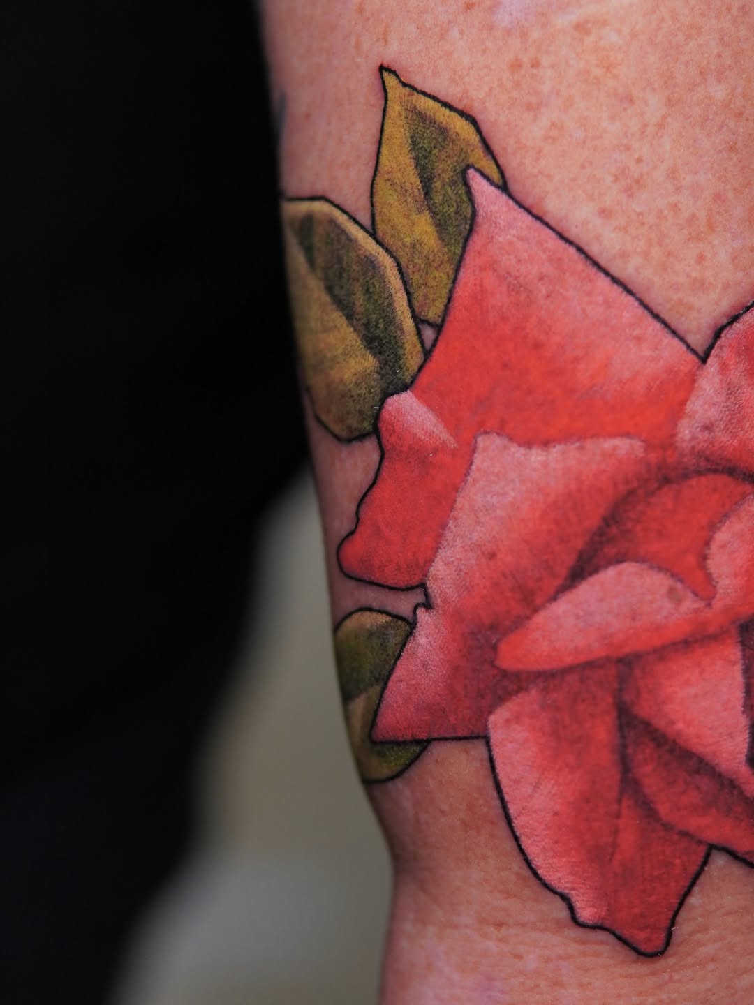 Flower, Rose