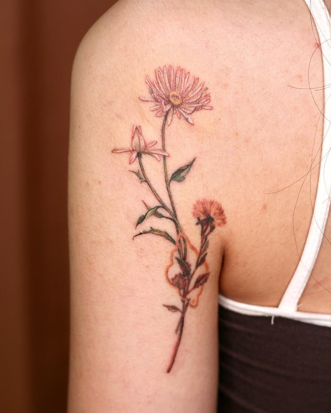 Flower, Rose