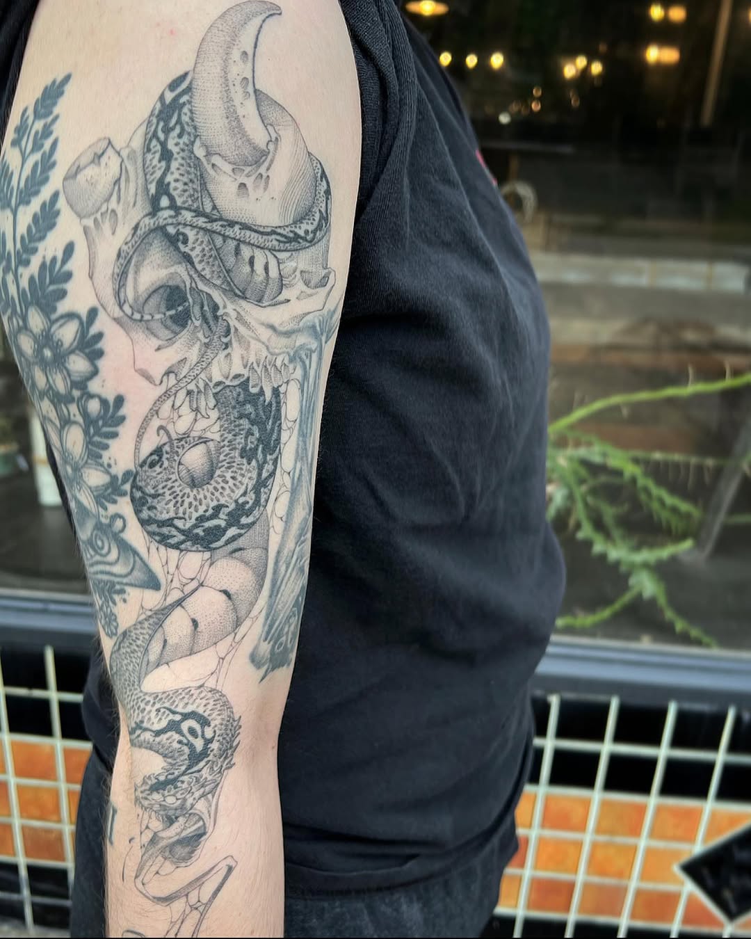Dragon