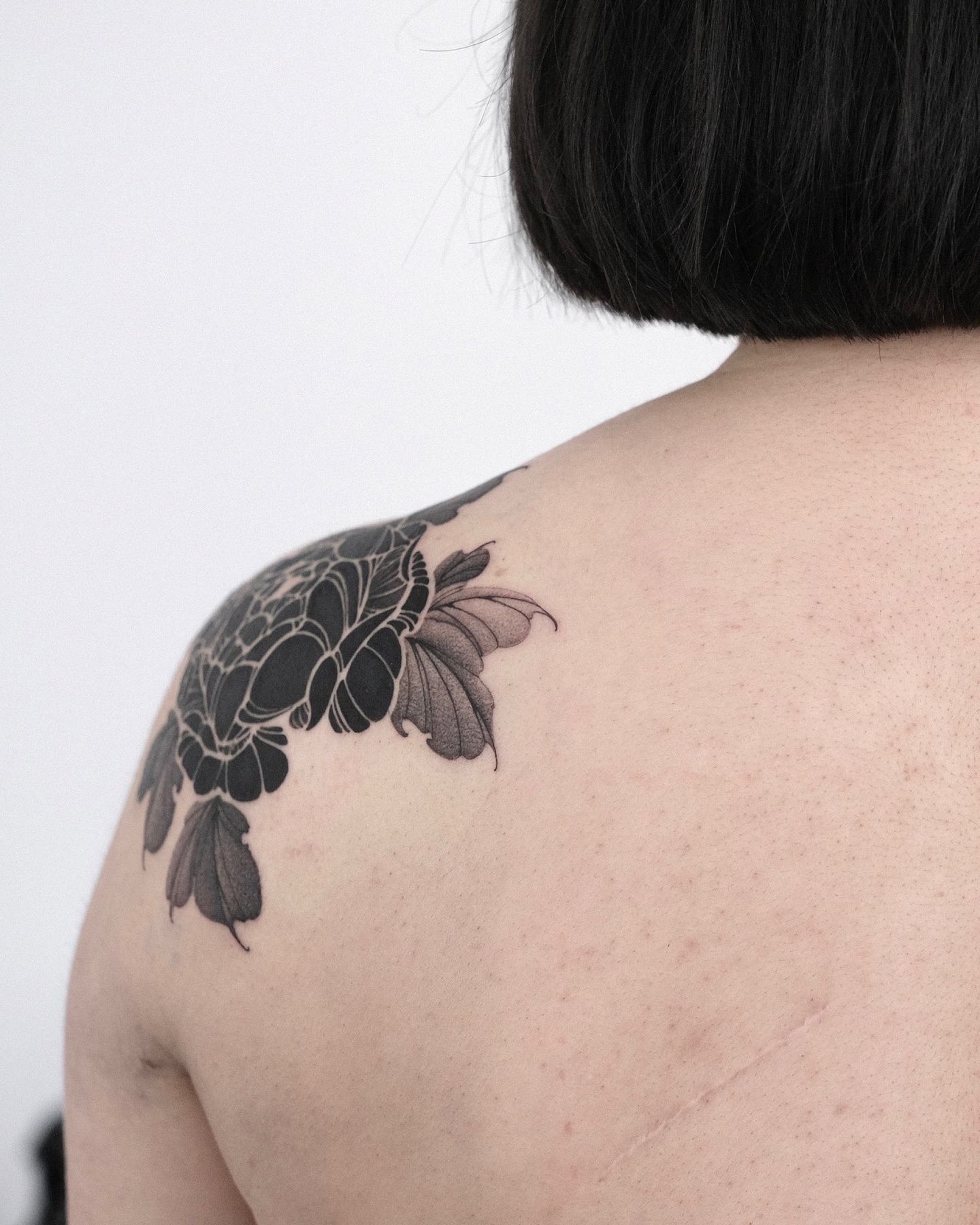 Flower, Nature, Rose