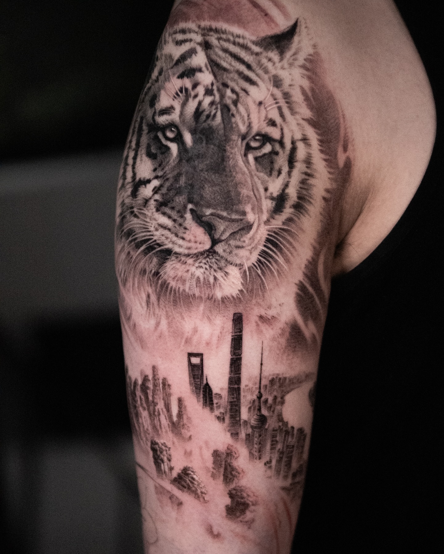 Tiger, 중국 호랑이