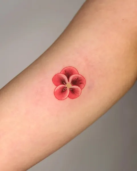 Flower, 양귀비, 히비스커스