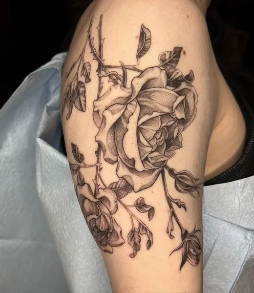 Flower, Rose