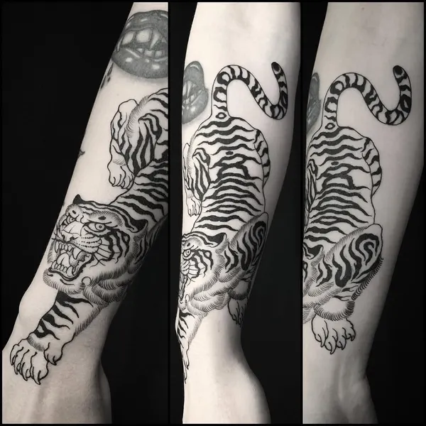 Tiger