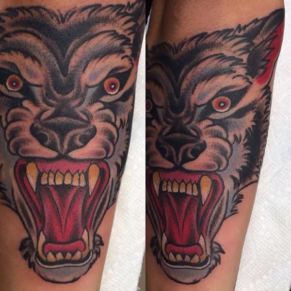 Tiger, Animal