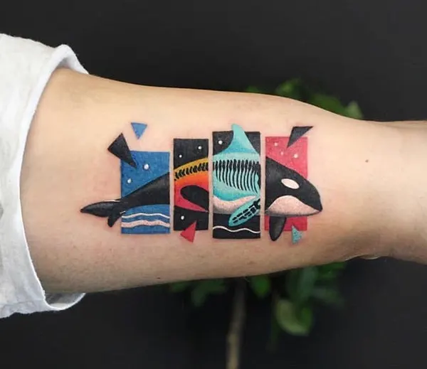 equilattera