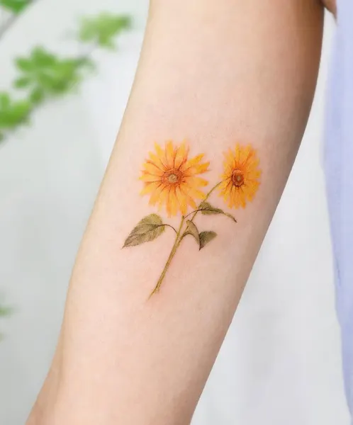 Flower, 해바라기, 데이지