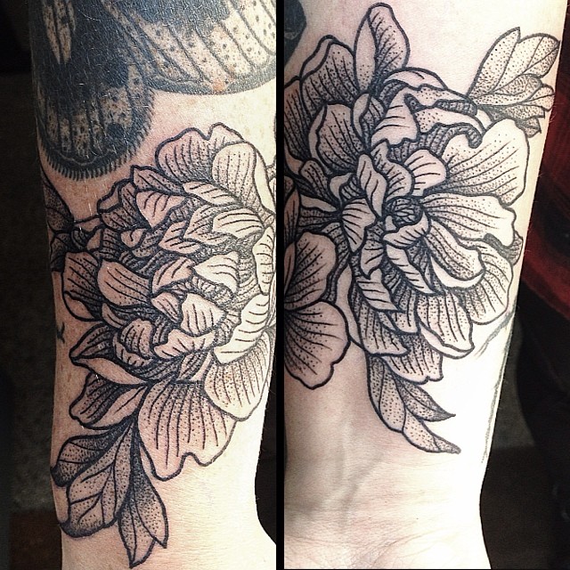 Rose, Flower