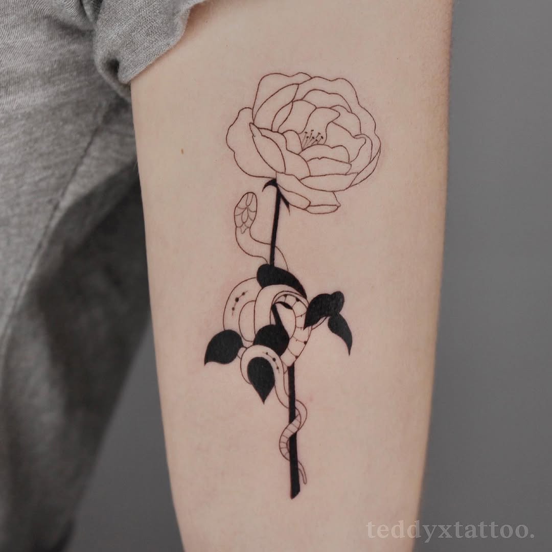 Flower, Rose, Nature