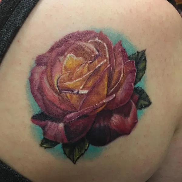 Flower, Rose, Nature